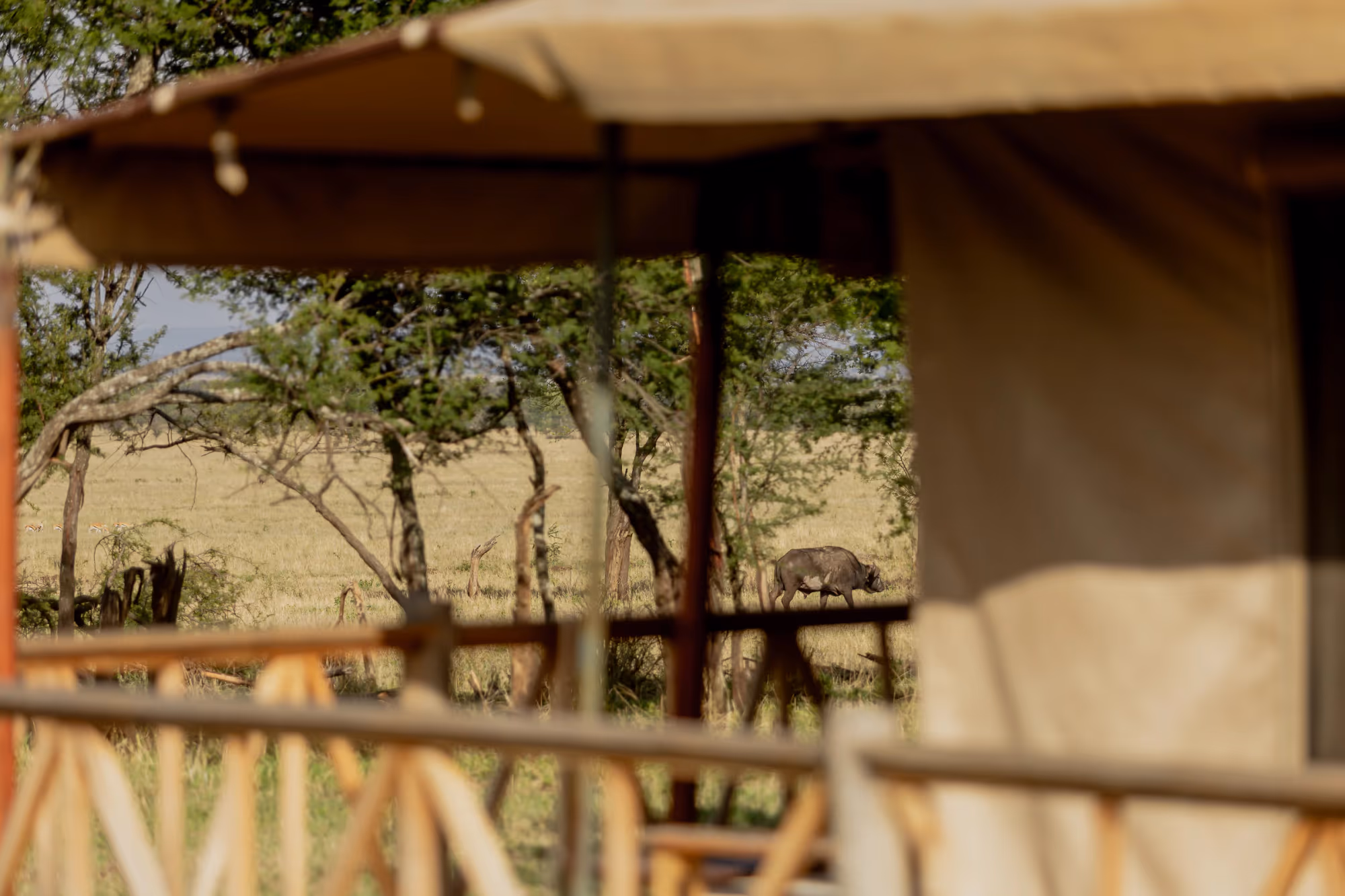Enkirari Wilderness Camp gallery 6