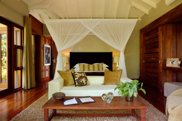 Executive Suite Room