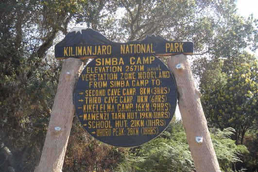 Simba Camp