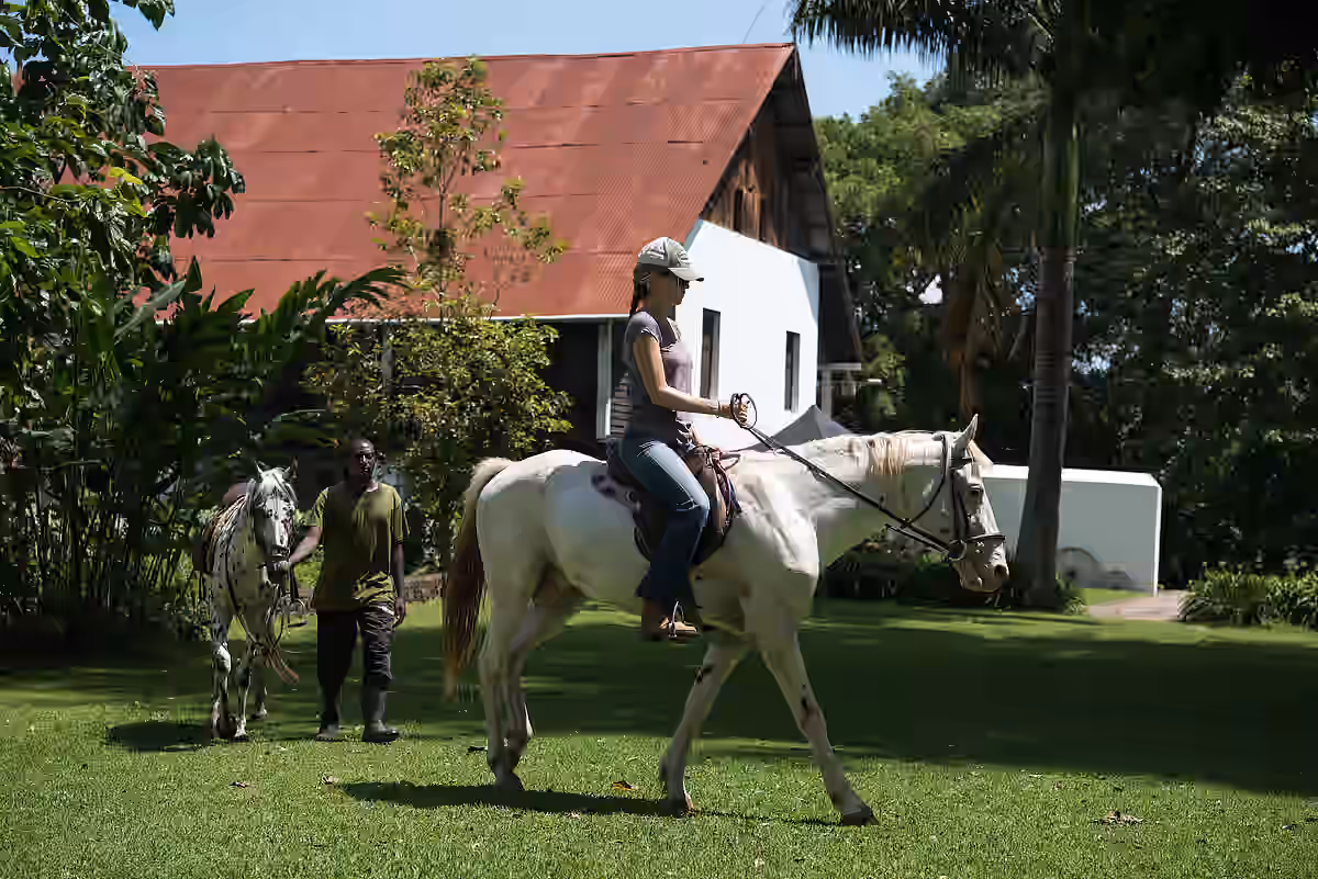 Ngare Sero Mountain Lodge gallery 11