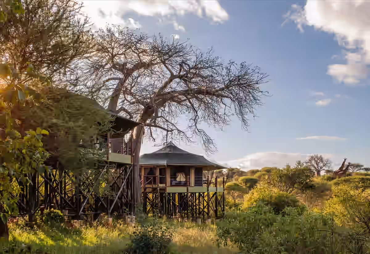 Tarangire Kuro Treetops