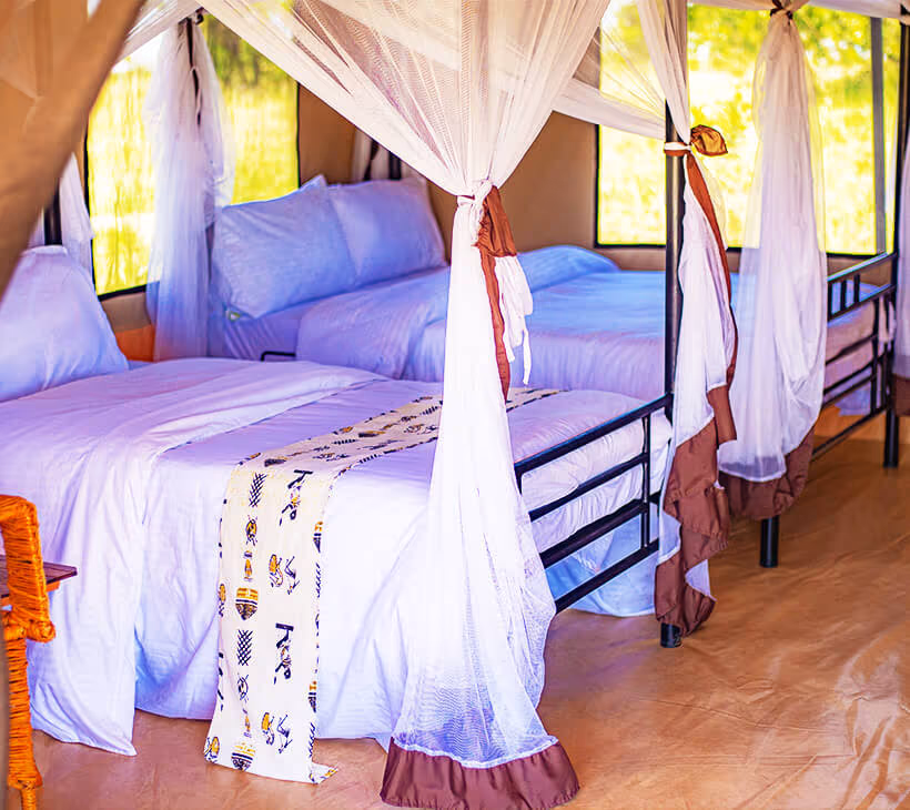 Triple Safari Tent