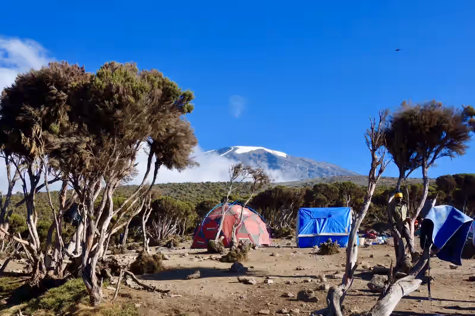School Hut Camp