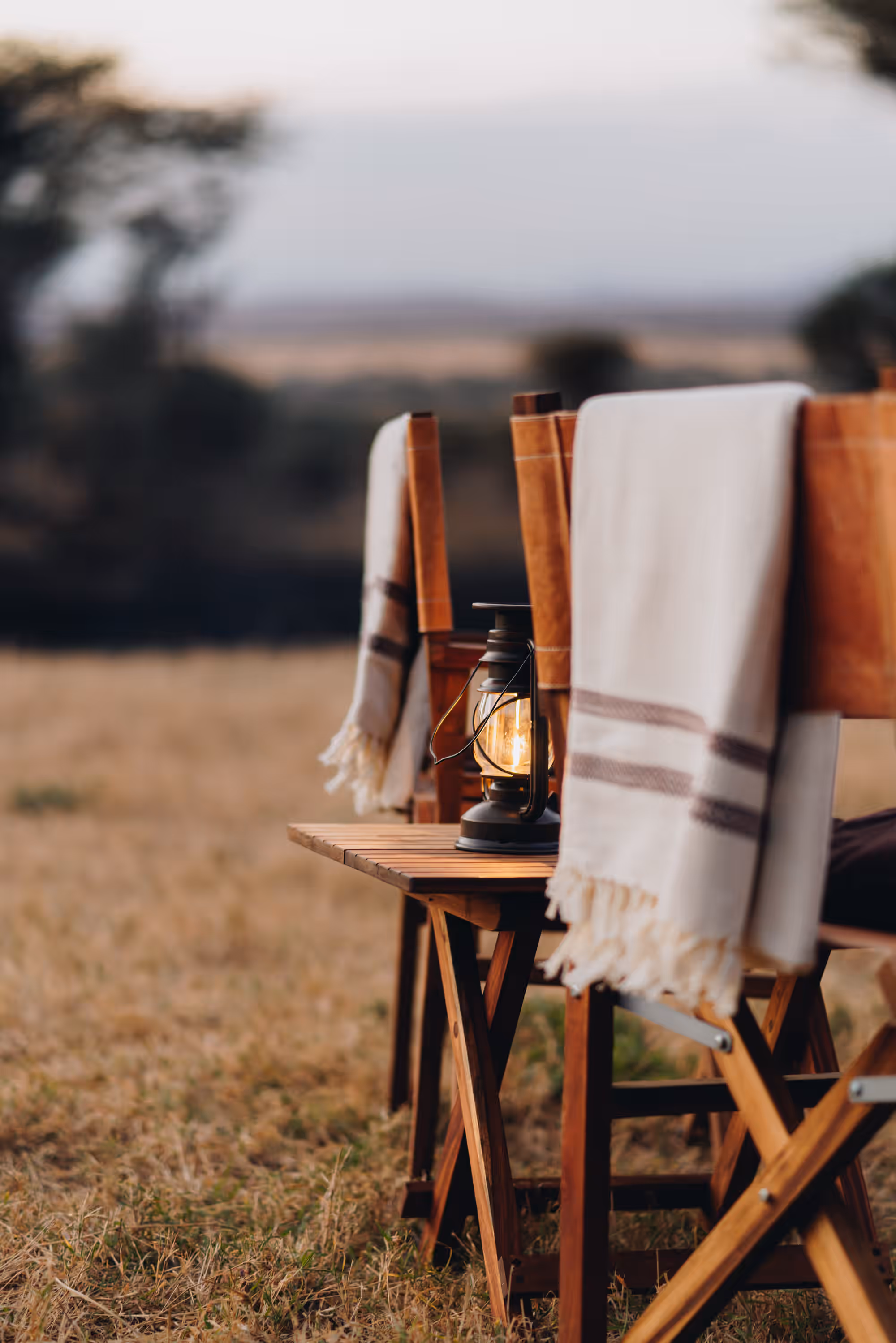 Awali Serengeti Camp gallery 0