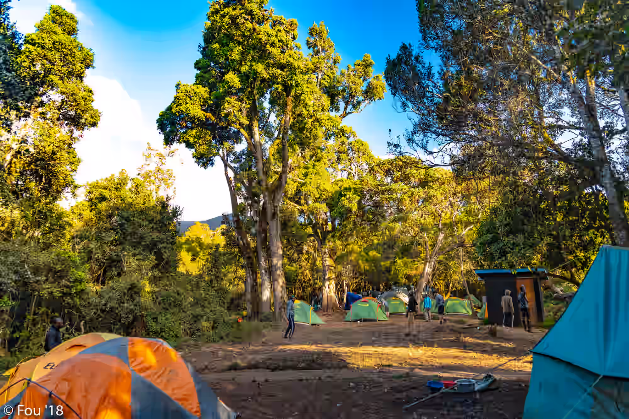 Mti Mkubwa Camp (Big Tree Camp)