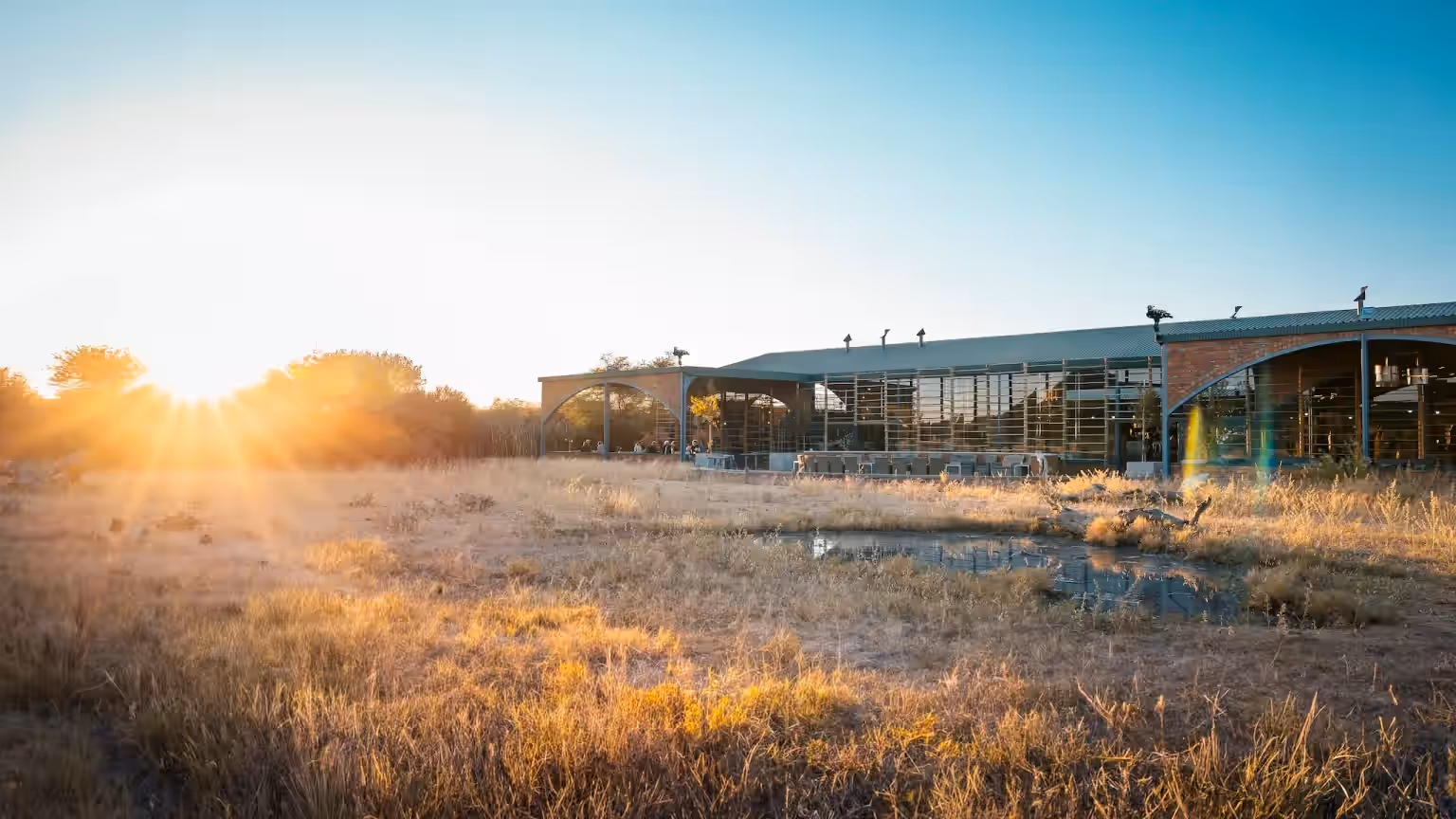 Okonjima plains Camp