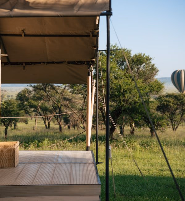 Awali Serengeti Camp gallery 12