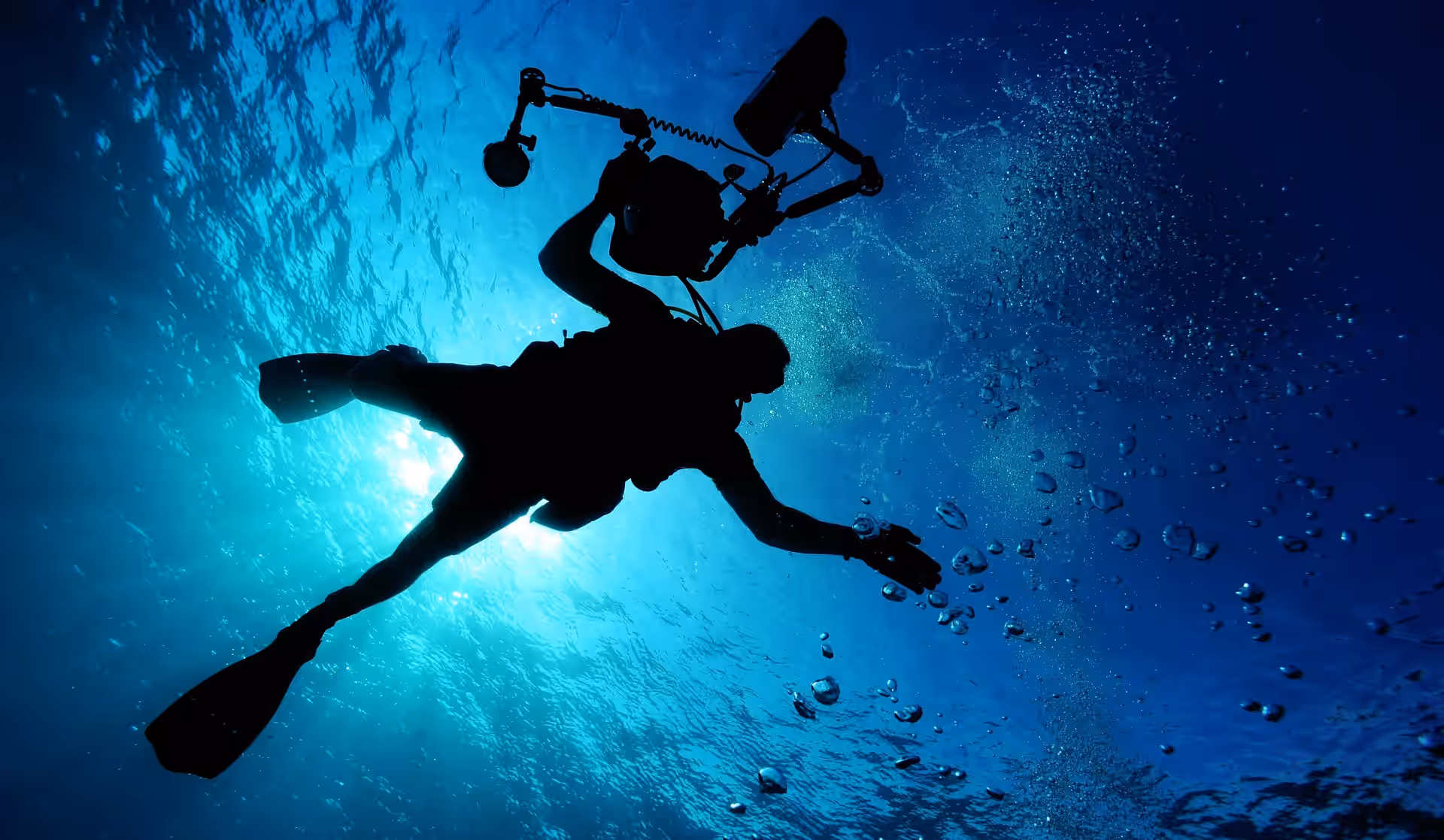 Snorkeling Mnemba Atoll gallery 10