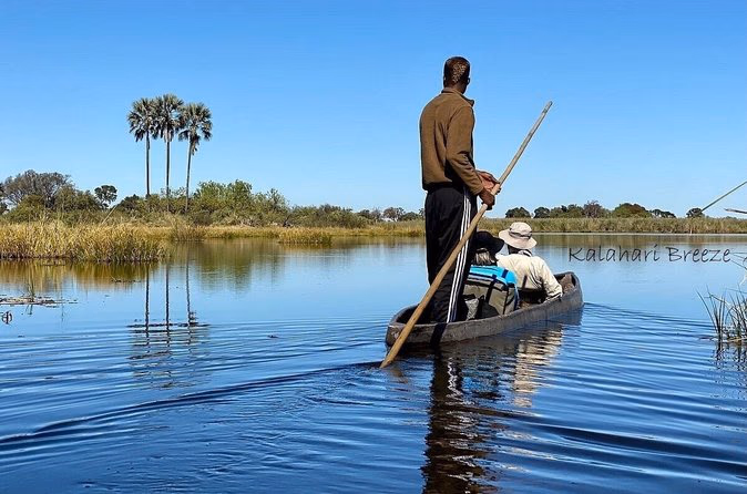 Mokoro Excursion in the Okavango Delta