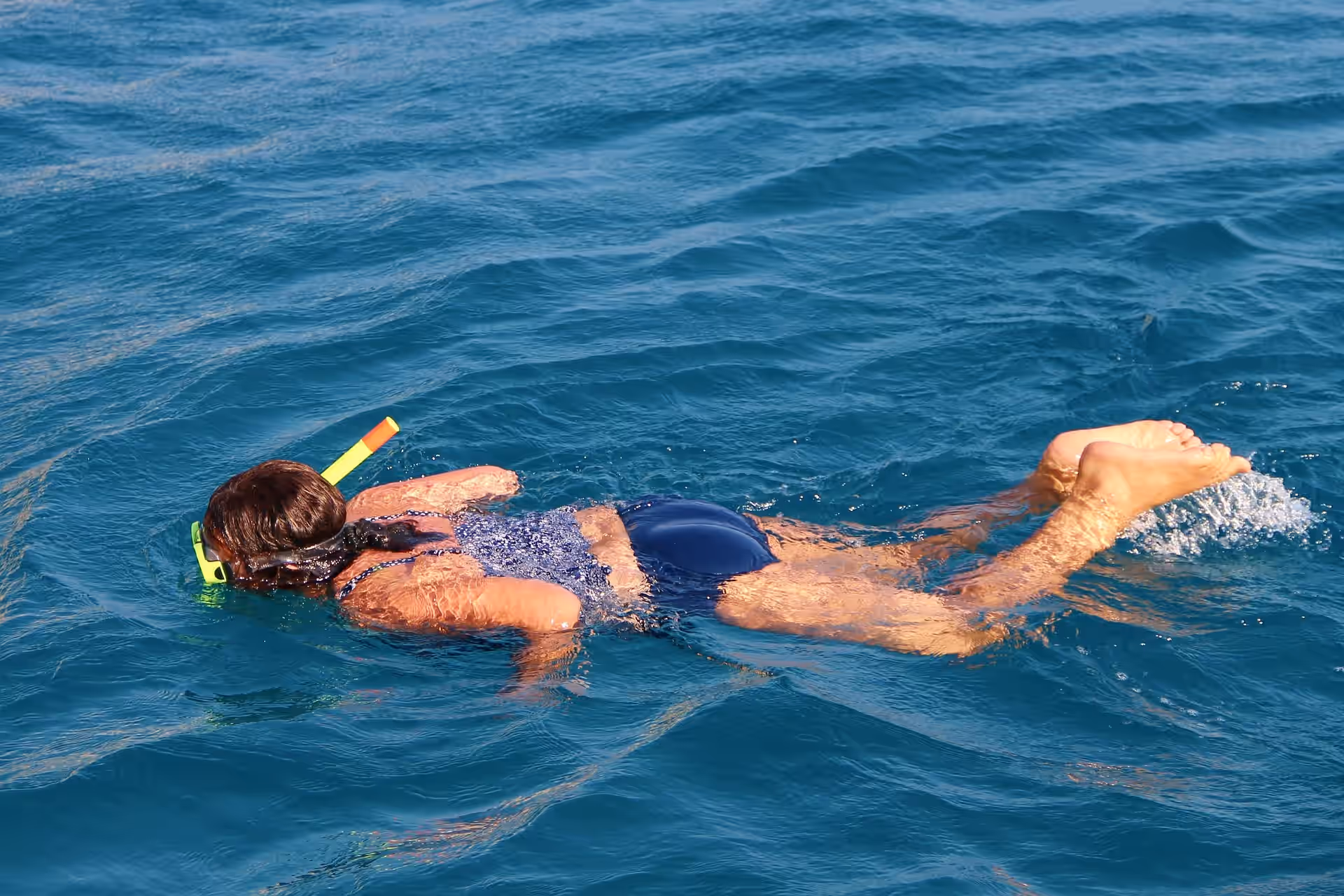 Snorkeling Mnemba Atoll gallery 6