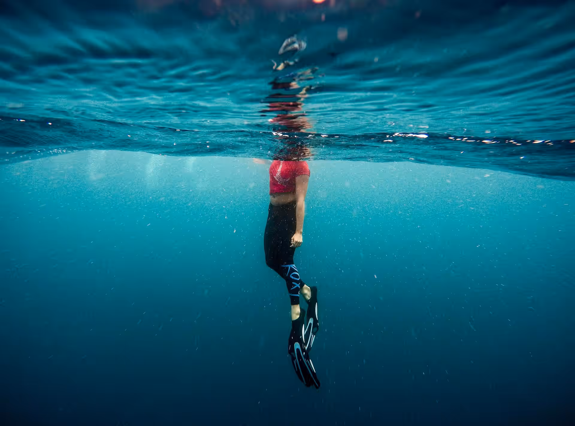 Snorkeling Mnemba Atoll gallery 9