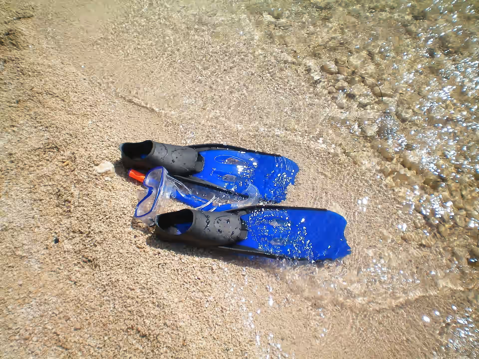 Snorkeling Mnemba Atoll gallery 5