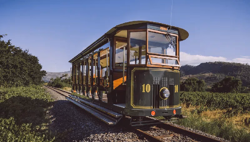 Franschhoek Wine Tram Hop-on Hop-off gallery 6