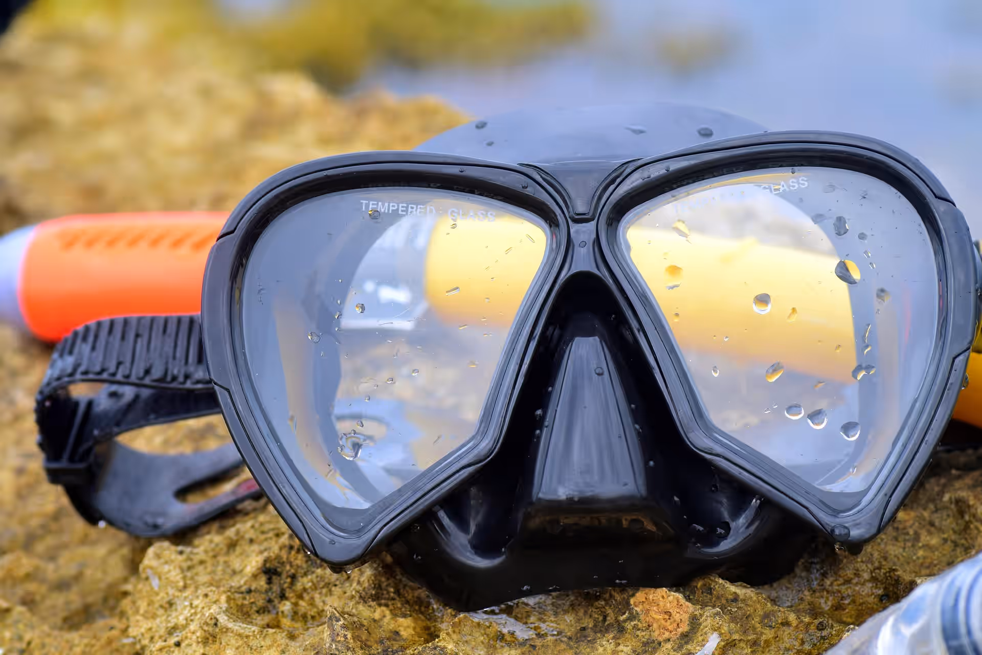 Snorkeling Mnemba Atoll gallery 2