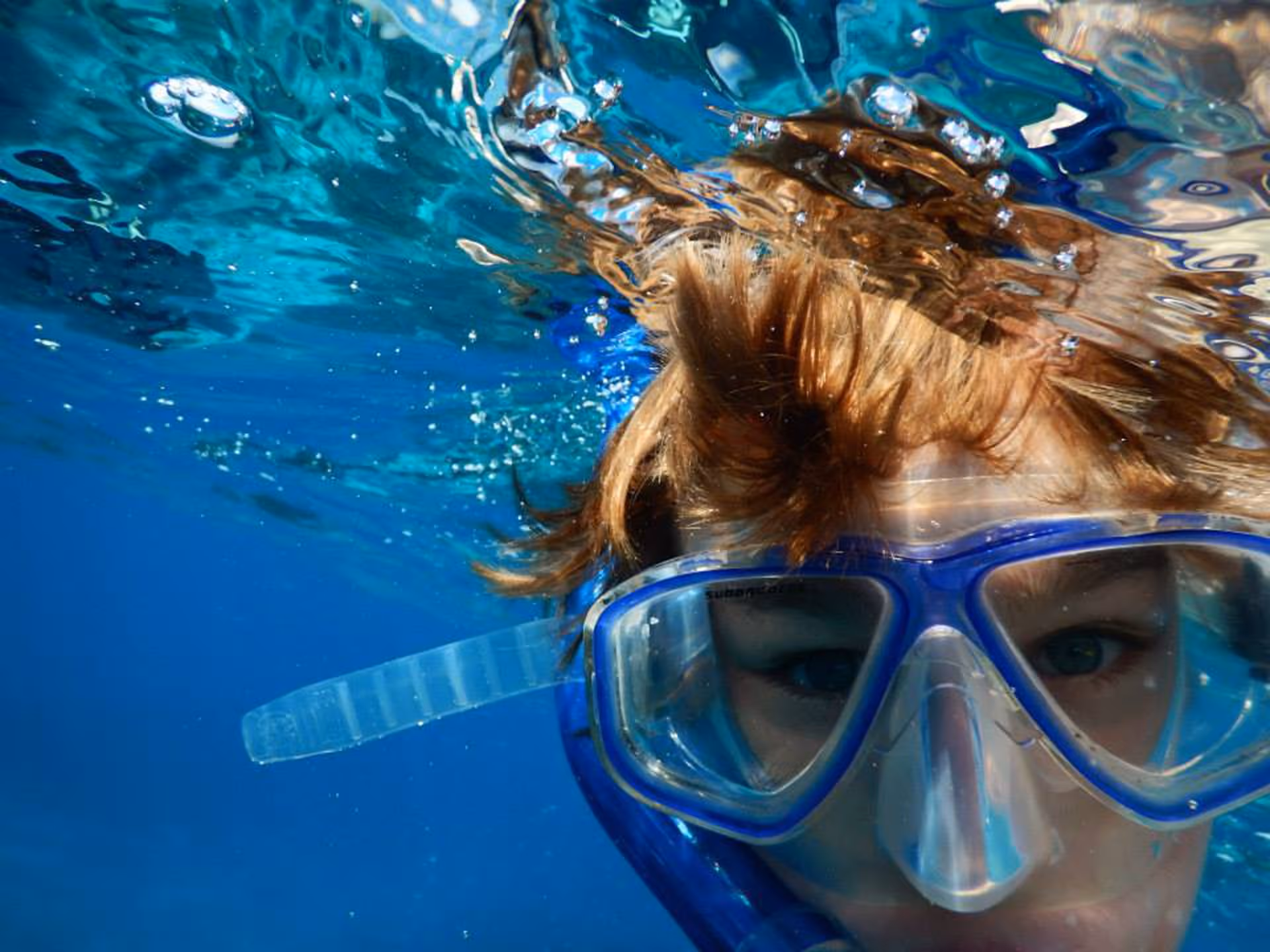 Snorkeling Mnemba Atoll gallery 4