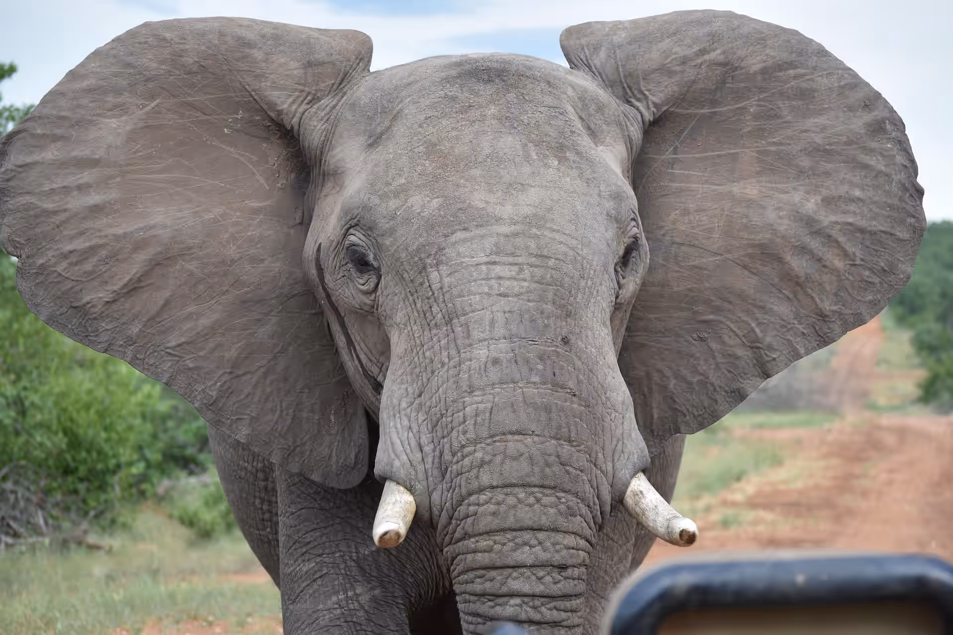 South Africa gallery 0